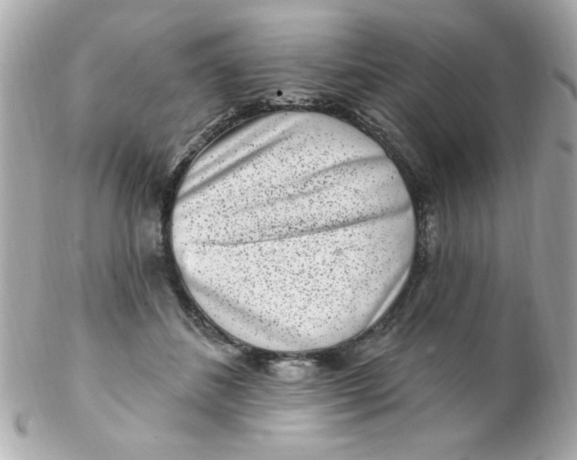X0000102310508200808152045