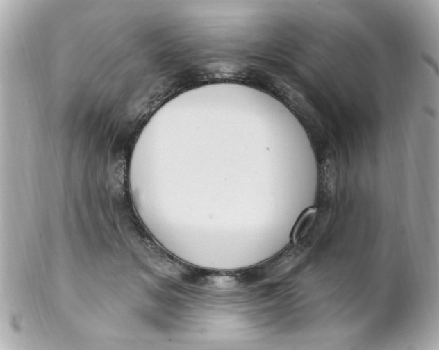 X0000102310509200808152045