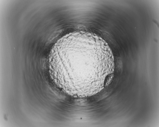 X0000102310511200808152045