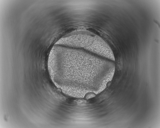 X0000102310512200808152045