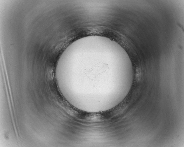 X0000102310514200808152045