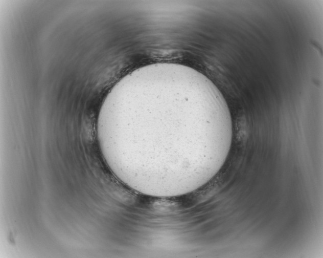 X0000102310515200808152045