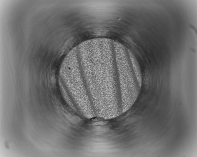 X0000102310516200808152045