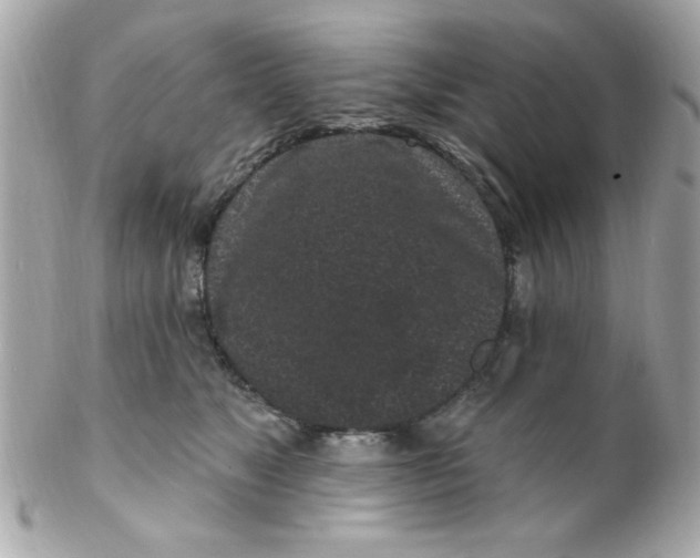 X0000102310517200808152045