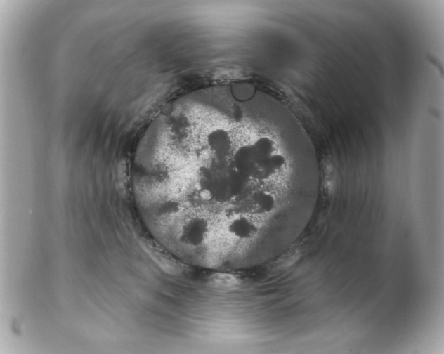 X0000102310519200808152045