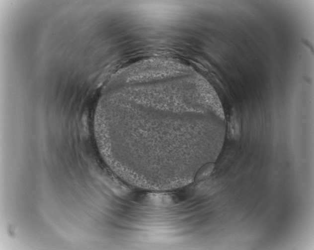 X0000102310520200808152044
