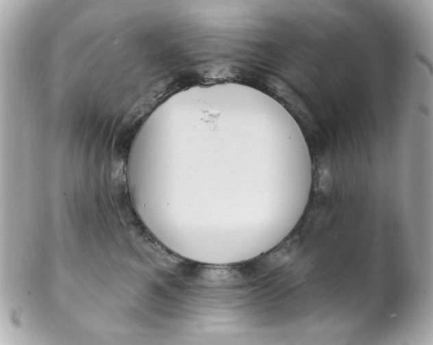 X0000102310521200808152044