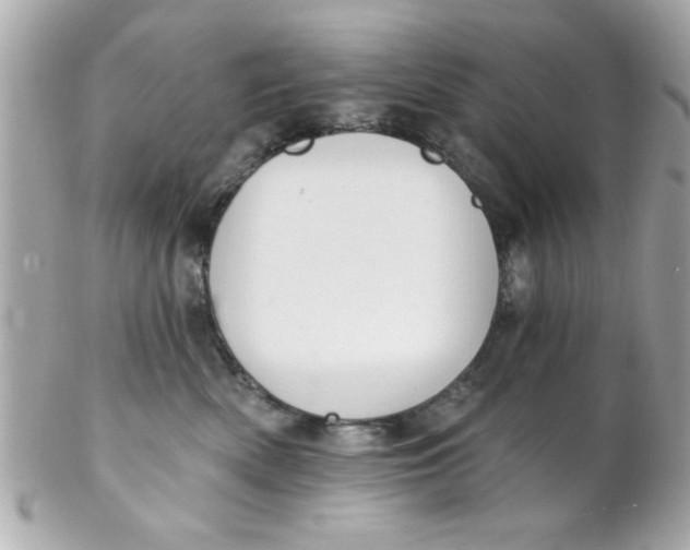 X0000102310522200808152044
