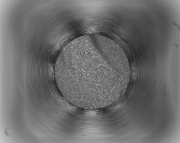 X0000102310523200808152044