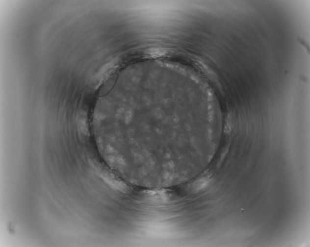 X0000102310524200808152044