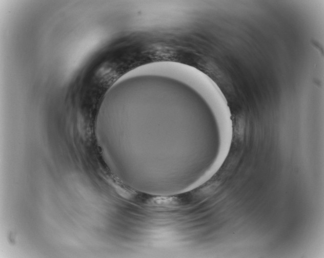 X0000102310526200808152044