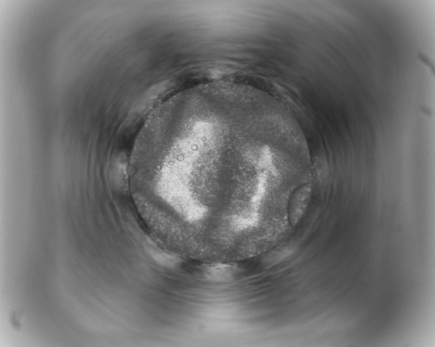 X0000102310527200808152044