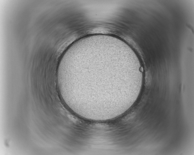 X0000102310529200808152043