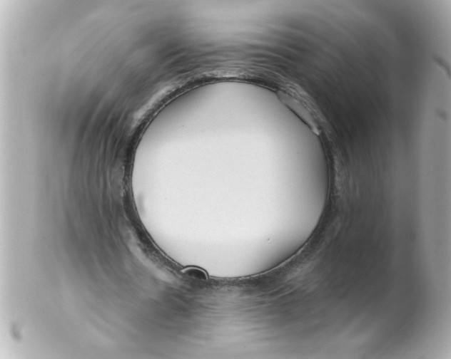 X0000102310530200808152043
