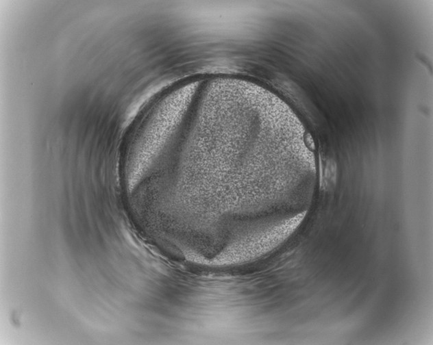 X0000102310531200808152044