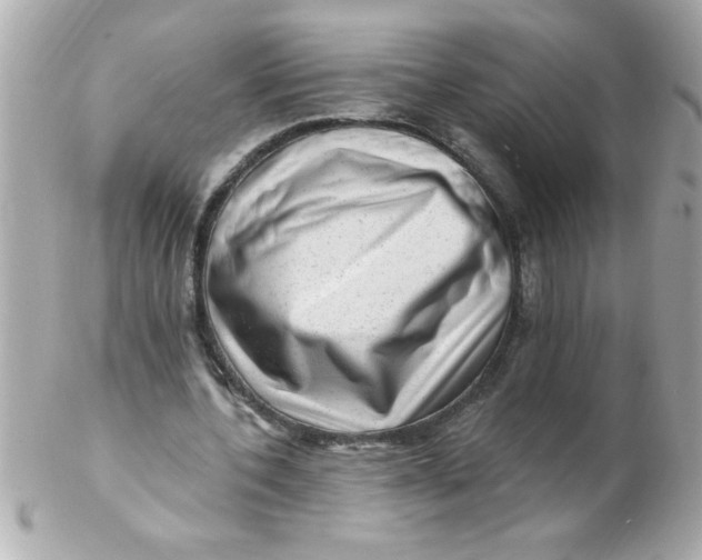 X0000102310532200808152044