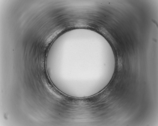 X0000102310533200808152044