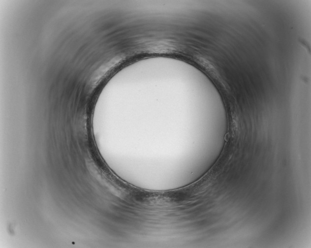 X0000102310535200808152044