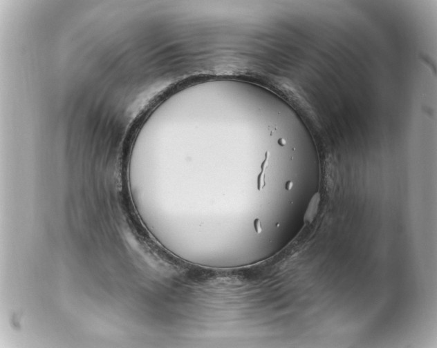 X0000102310536200808152044