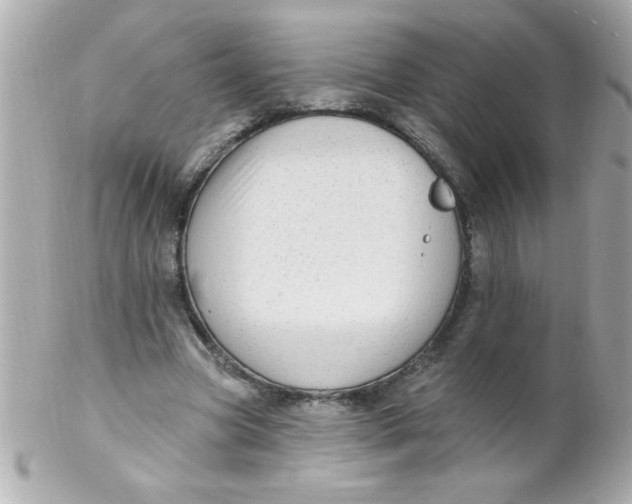 X0000102310537200808152044