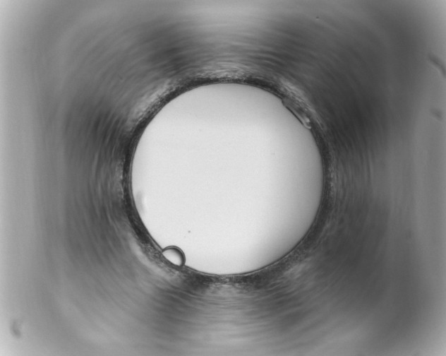 X0000102310538200808152044
