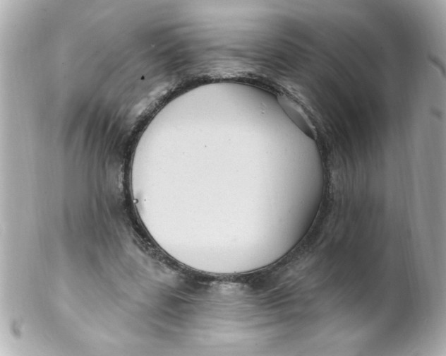 X0000102310539200808152044
