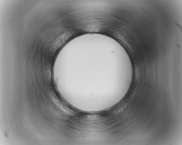 X0000102310541200808152044