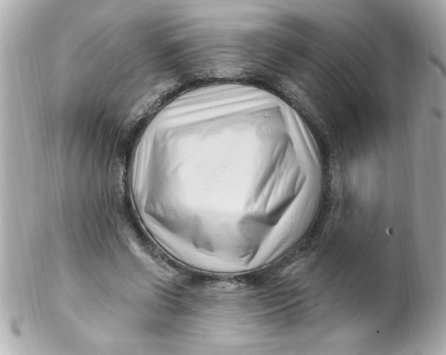 X0000102310542200808152044