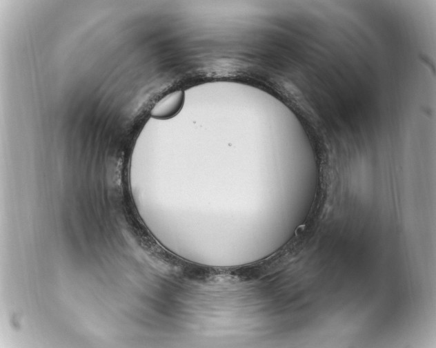 X0000102310543200808152044