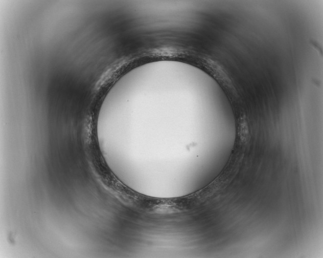X0000102310544200808152044