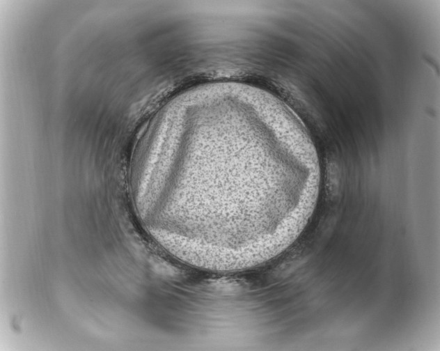 X0000102310545200808152044