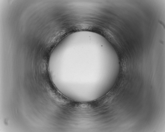 X0000102310546200808152044