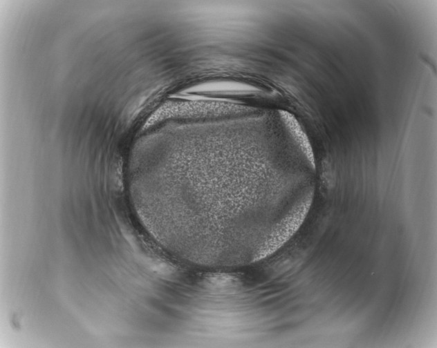 X0000102310547200808152044