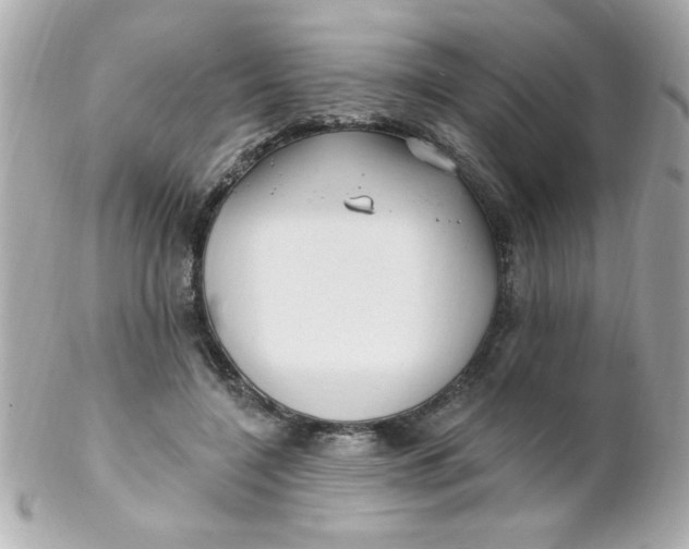 X0000102310548200808152044