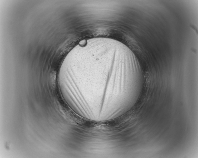 X0000102310550200808152044
