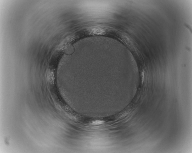 X0000102310551200808152044