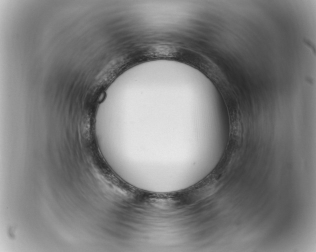 X0000102310552200808152044