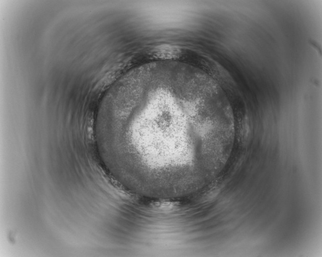X0000102310553200808152044