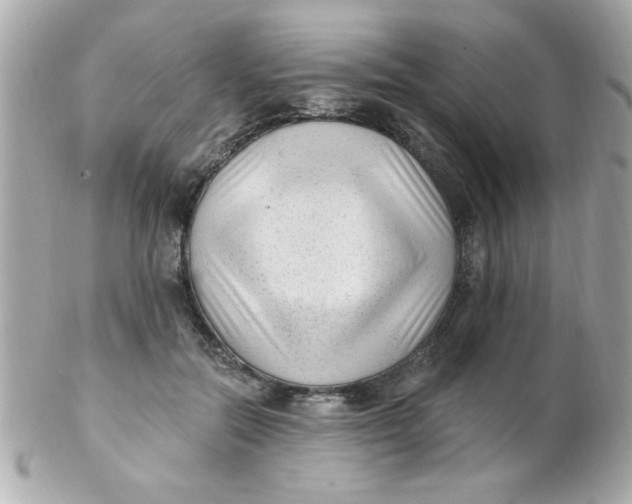 X0000102310554200808152044