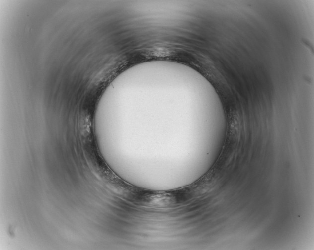 X0000102310555200808152044