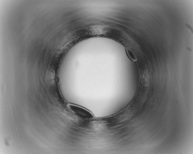 X0000102310556200808152044