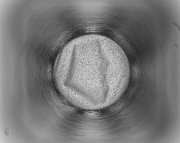 X0000102310557200808152044