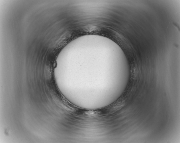 X0000102310558200808152044