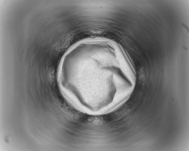 X0000102310559200808152044