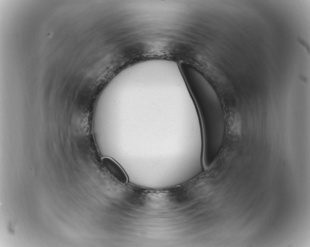 X0000102310560200808152044