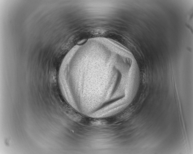 X0000102310561200808152044