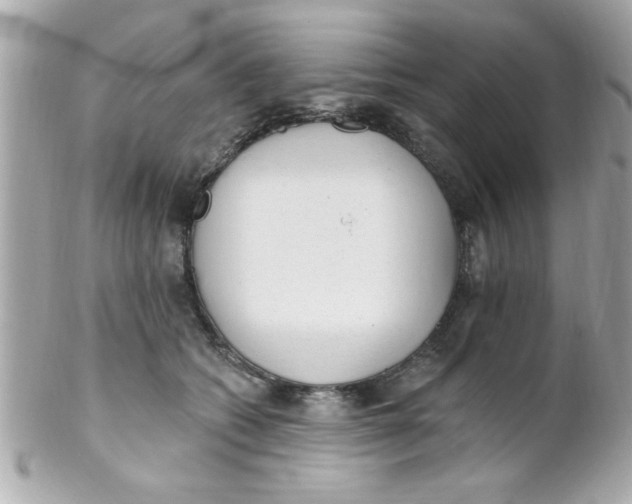 X0000102310562200808152044