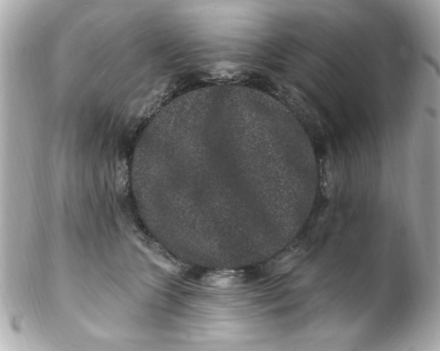 X0000102310563200808152044
