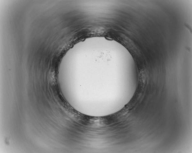 X0000102310564200808152044