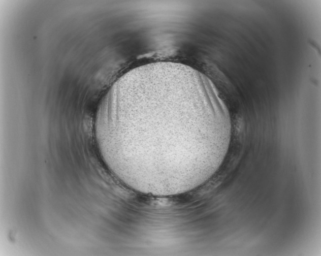 X0000102310565200808152044